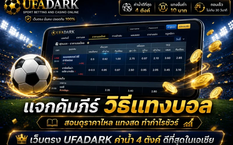 เทคนิค วิธีแทงบอล ทำกำไรและสเต็ปใช้งานจริงบน UFADARK